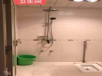 其它图