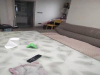 其它图