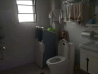 其它图