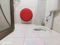 其它图