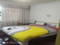 其它图