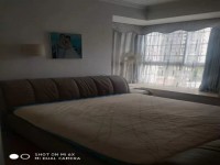其它图