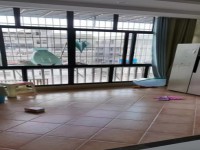其它图
