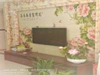 其它图
