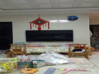 其它图