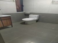 其它图