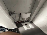 其它图
